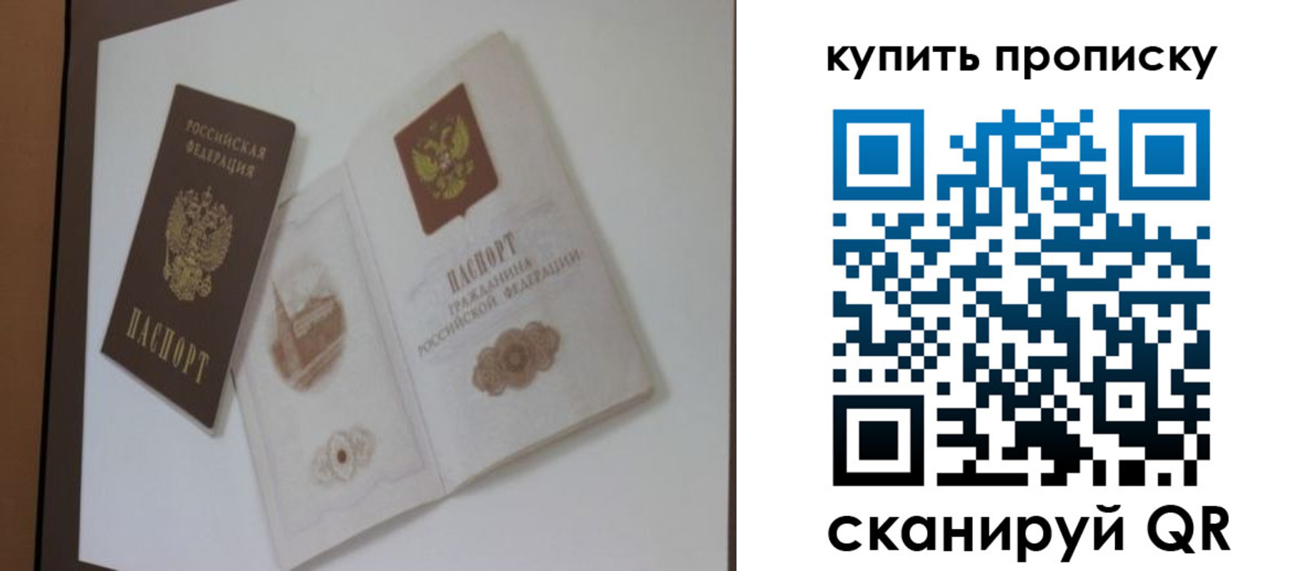 где прописаться в Шарье